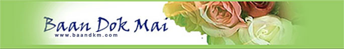 Baan Dok Mai Logo